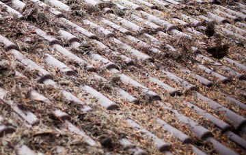 Abernethy roof cleaning companies